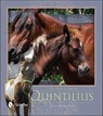 The True Story of Quintilius - Lois Szymanski - 9781507300237