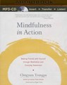 Mindfulness in Action -  - 9781511308823