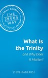 What Is the Trinity and Why Does It Matter? - Dancause Steve Dancause - 9781513805689