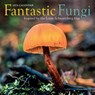 Fantastic Fungi Wall Calendar 2024 -  - 9781523518852