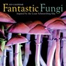 Fantastic Fungi Wall Calendar 2025 -  - 9781523525232