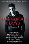 Dangerous Boys - Maree Anderson ; Sara Hantz ; Vanessa Barneveld ; Robyn Grady ; Ebony McKenna - 9781524200787