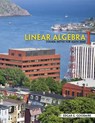 Linear Algebra I: Course Notes for Math 2050 - Edgar G. Goodaire - 9781524900014