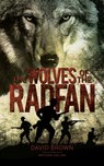 The Wolves of the Radfan - David Brown - 9781528928458