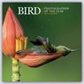 Bird Photographer Of The Year Square Wall Calendar 2023 -  - 9781529824247