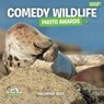 Comedy Wildlife Photography Awards Square Wall Calendar 2023 -  - 9781529826333