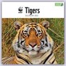 WWF Tigers Square Wall Calendar 2023 -  - 9781529828931