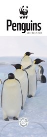 WWF Penguins Slim Calendar 2024 -  - 9781529833508