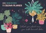 Bohemia Week-to-View Planner A4 Calendar 2024 -  - 9781529837292