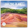 Amazing Planet Wall (PFP) -  - 9781529858532