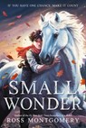 Small Wonder - Ross Montgomery - 9781536252026