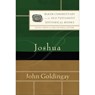 Joshua - John Goldingay ; David Firth ; Lissa Wray Beal - 9781540964618