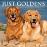 Just Goldens 2026 Mini Wall Calendar -  - 9781549253607