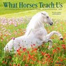 What Horses Teach Us 2026 Mini Wall Calendar -  - 9781549253843
