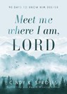 Meet Me Where I Am, Lord - Cindy K Sproles - 9781563096150