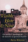 Visible Here and Now - Ayya Khema - 9781570624926