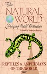 Reptiles & Amphibians of the World Card Game -  - 9781572812079