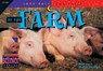 At the Farm - SCHWARTZ,  David M. - 9781574712209