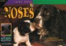Animal Noses - SCHWARTZ,  David M. - 9781574713213