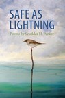 Safe as Lightning - Scudder H. Parker - 9781578690312