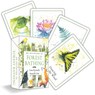 An Invitation to Forest Bathing: 52 Full-Color Activity Cards to Find Yourself in Nature -  - 9781590035795