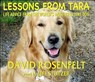 Lessons from Tara - ROSENFELT,  David - 9781593167165