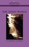 The Spirit World - Clarence Larkin - 9781596052970