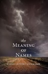 The Meaning of Names - Karen Gettert Shoemaker - 9781597092777