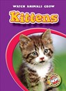 Kittens - Colleen Sexton - 9781600143892