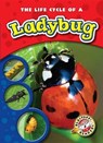 The Life Cycle of a Ladybug - Colleen Sexton - 9781600145254