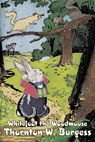 Whitefoot the Woodmouse by Thornton Burgess, Fiction, Animals, Fantasy & Magic - Thornton W. Burgess - 9781603122580