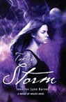Taken by Storm - Jennifer Lynn Barnes - 9781606843208