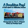 A Sunshine Day! a Kid's Guide to Willemstad, Curacao - Penelope Dyan - 9781614773849