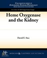 Heme Oxygenase and the Kidney - David Stec - 9781615042135