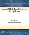 Crucial Role for Astrocytes in Epilepsy - Peter Bedner ; Christian Steinhauser - 9781615047147