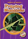 Praying Mantises - Colleen Sexton - 9781618914897