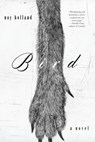 Bird - Noy Holland - 9781619028272