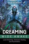 Dreaming Wide Awake - David Jay Brown - 9781620554906