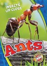 Ants - Patrick Perish - 9781626176577