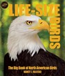 Life-Size Birds - HAJESKI,  Nancy J. - 9781626864399