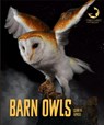 Barn Owls - Quinn M. Arnold - 9781628326802