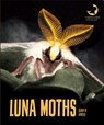 Luna Moths - Quinn M. Arnold - 9781628326826