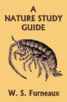 A Nature Study Guide (Yesterday's Classics) - W S Furneaux - 9781633340381