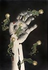 The Surrealist Book - Jodi Hauptman ; Starr Figura - 9781633451810