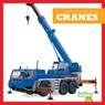 Cranes - Rebecca Pettiford - 9781636908502