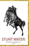 Stunt Water: The Work of Buddy Wakefield 1991-2011 - Buddy Wakefield - 9781638341499