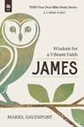 James - Mariel Davenport - 9781640704947
