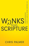 Winks from Scripture - Palmer Chris Palmer - 9781641238465
