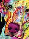 Dean Russo Labrador Journal - Dean Russo - 9781641780346