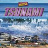 Tsunami - MARKOVICS,  Joyce - 9781642808452
